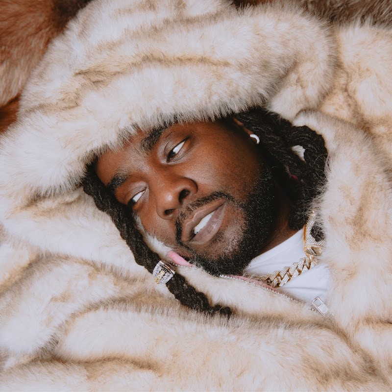 wale — hip-hop artist profile photo
