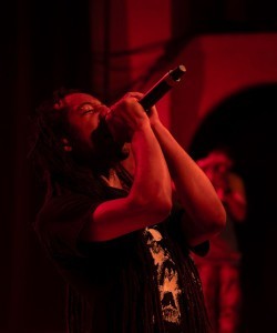 d0llywood1 — hip-hop artist profile photo