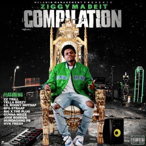 Ziggy Made It — hip-hop artist profile photo