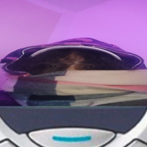 ewshem — hip-hop artist profile photo