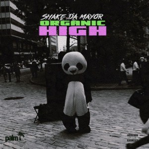 Shake Da Mayor — hip-hop artist profile photo