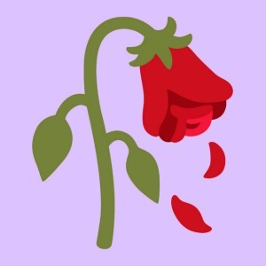 edirisooriya — hip-hop artist profile photo