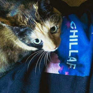 CHILLAF — hip-hop artist profile photo