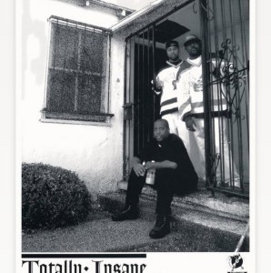 Totally Insane — hip-hop artist profile photo