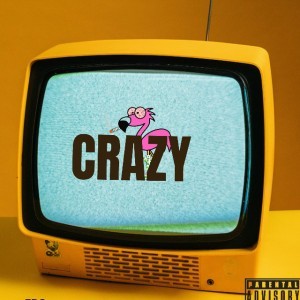 Fro W.U.N.D.A.S. — hip-hop artist profile photo