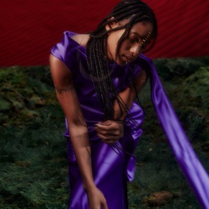 Willow — hip-hop artist profile photo