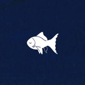Sleepy Fish — hip-hop artist profile photo