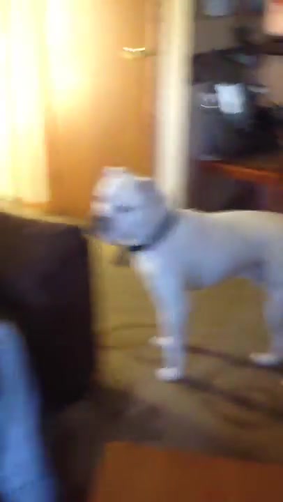 Get dis Danny Glover lookin dog!