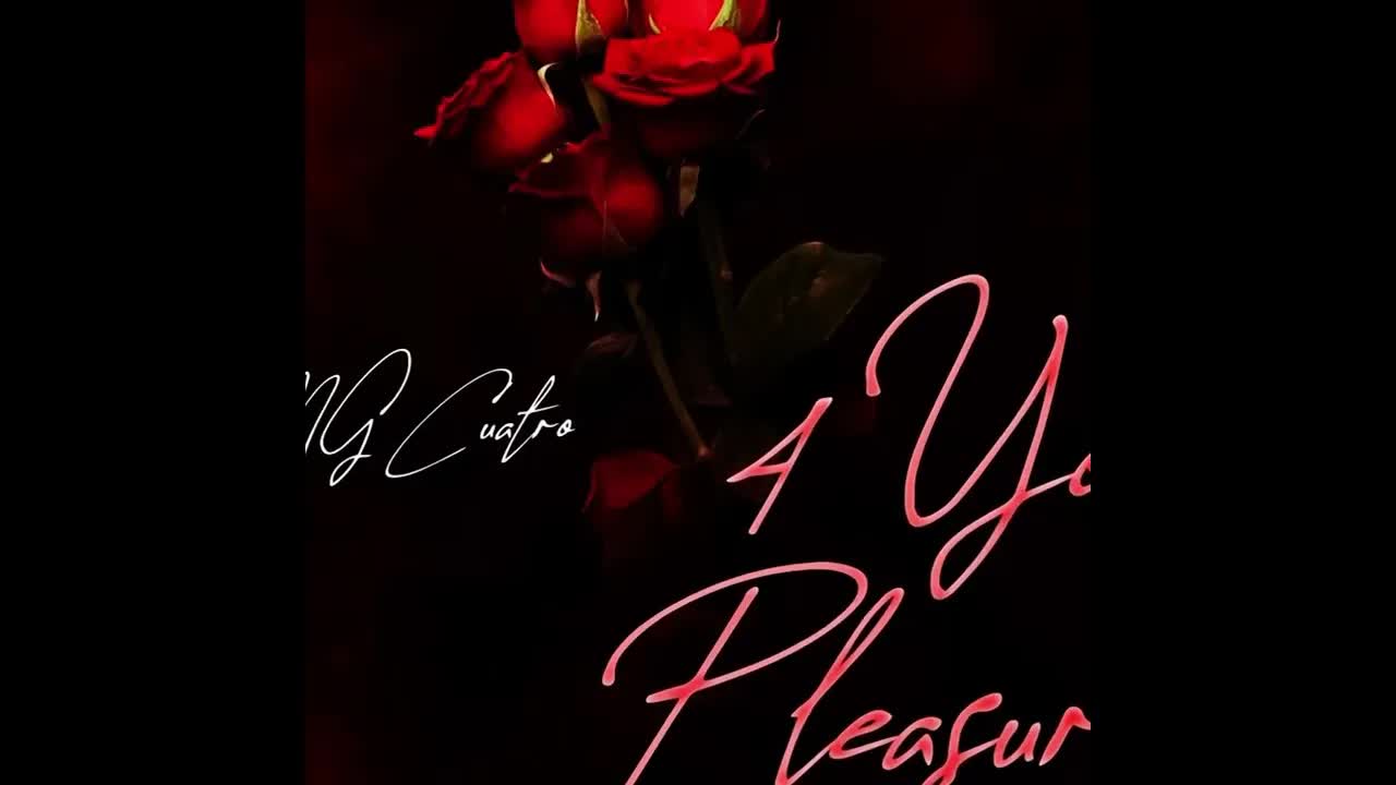 FNG Cuatro - Boolin (Audio) (4 Your Pleasure)